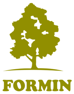 FORMIN-logo-copia-768x964